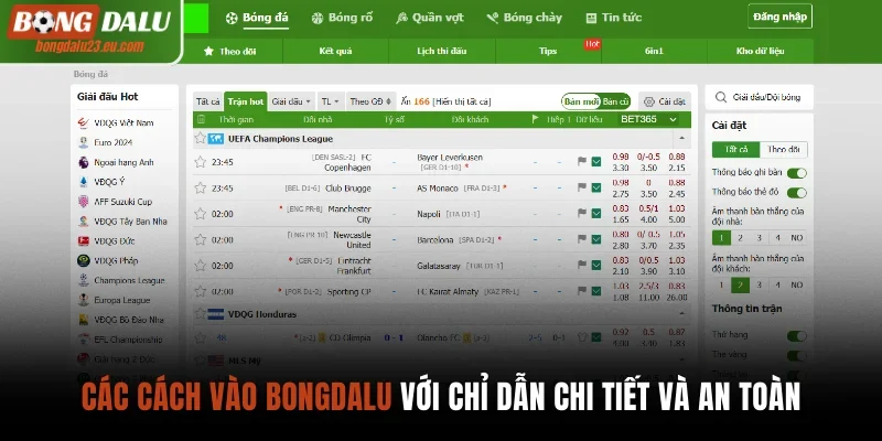 Cách vào Bongdalu